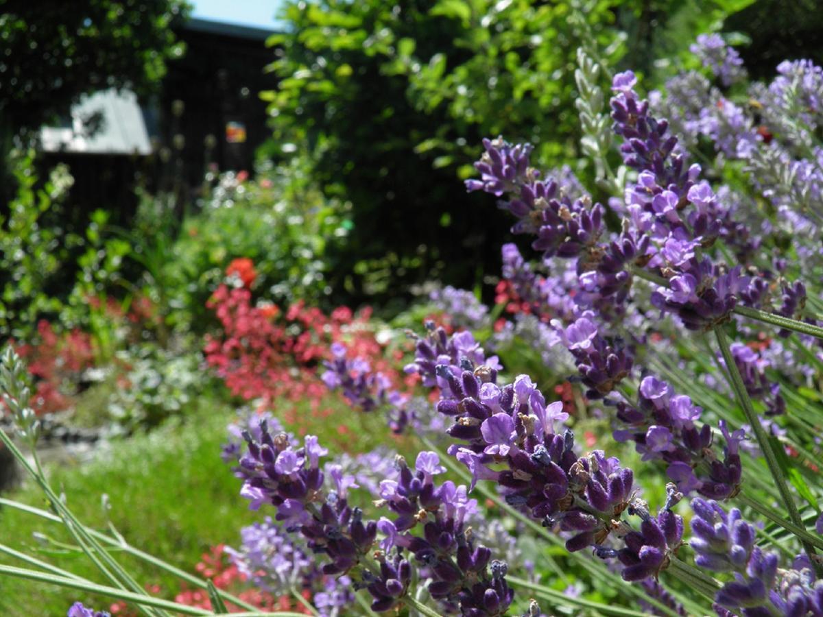 B&B Brandholz Goldkronach Екстериор снимка